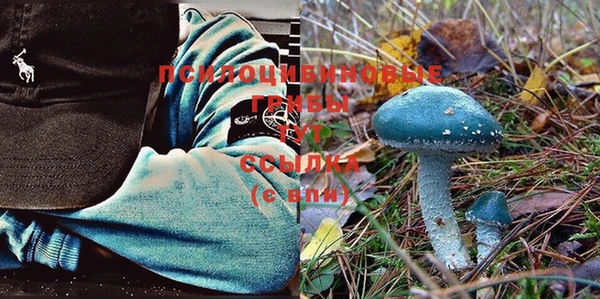 ECSTASY Беломорск